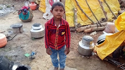leopard attacked child near sangli