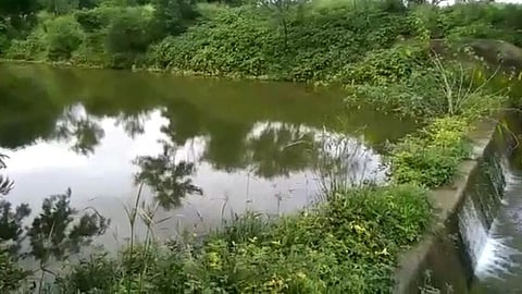 Beed: जलयुक्त घोटाळा प्रकरण! आणखी 4 जणांना बीड पोलिसांनी ठोकल्या बेड्या