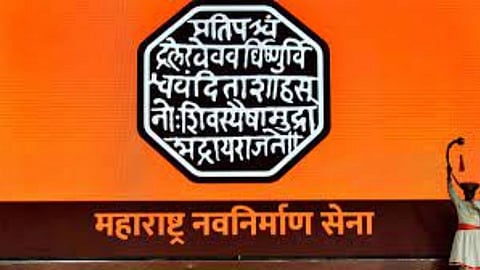 MNS Logo