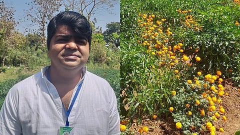 Hybrid peppers grown from organic farming; The inspiring journey of a smart farmer Sachin Baikar