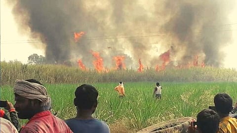 शॉर्ट सर्कीटमुळे शेतात भीषण आग; 100 एकर ऊस जाळून खाक, जवळपास 1 कोटींचे नुकसान