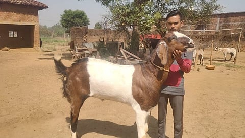 Bhandara