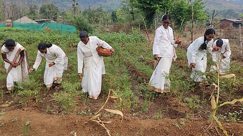 Women Farmers In Mandavkhari