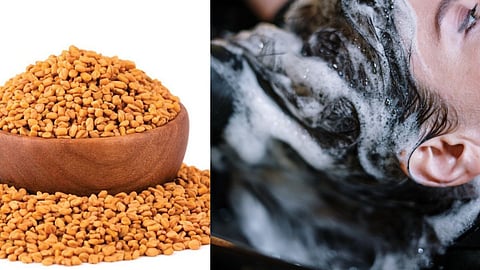 Hair care tips in marathi