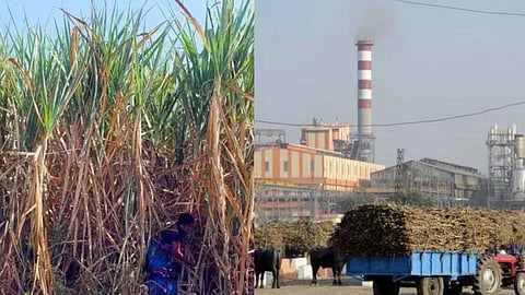 Sugarcane factory