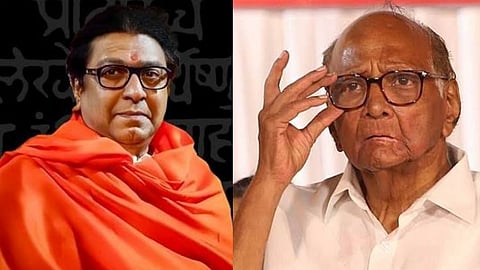 MNS vs NCP News, Raj Thackeray News, Sharad Pawar News, Latest Political News Updates