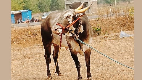 Aurangabad