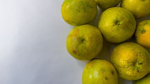 Benefits of sweet lemon peels