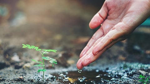 World environment day 2022