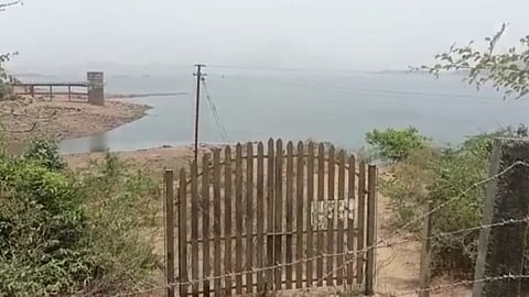 pavana dam