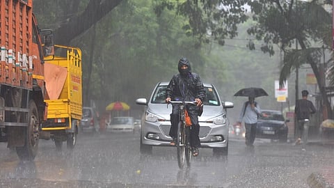 Monsoon Update