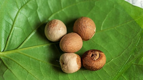 Benefits of supari