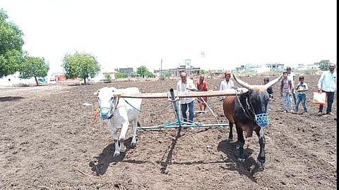 Parbhani Latest Marathi News