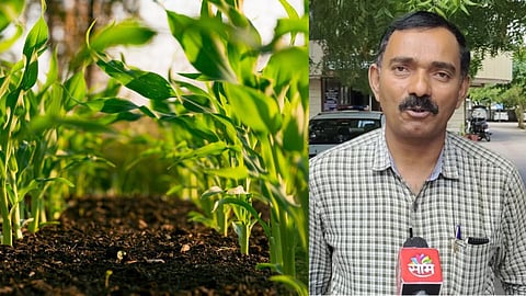 '...तर नुकसानीची शक्यता'; बीड कृषी विभागाचे शेतकर्यांना आवाहन