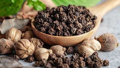 Black pepper benefits for health, Benefits of Spices