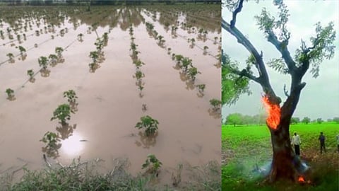 Rainfall