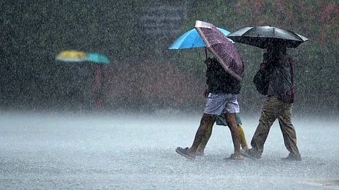 Rain update