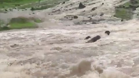 Pune Rain Update