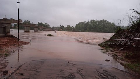 Chandrapur Rain News, Maharashtra Telangana Border, Maharashtra News, Chandrapur Maharashtra News