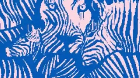 Optical Illusion for Personality Test