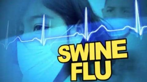 Swine Flu News