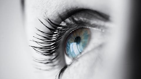 Eye care tips, Healthy food for eyes