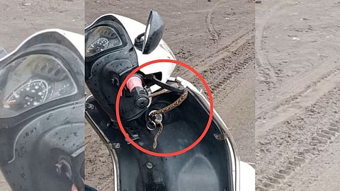 Snake found in Scooty viral News