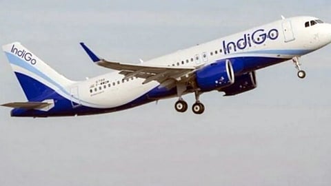 IndiGo Cabin Crew