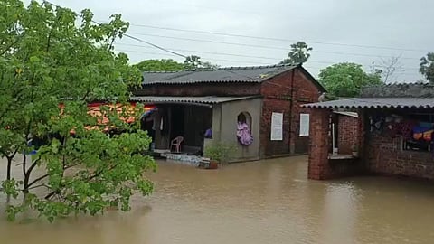 Palghar Rain News, Red Alert In Palghar, Palghar Rain Update, Palghar Rain Alert
