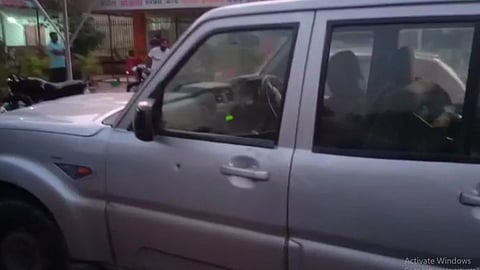 Robbery at pune-solapur highway
