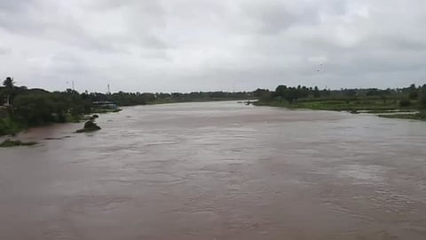 sangli, krishna river, rain, Koyna Dam