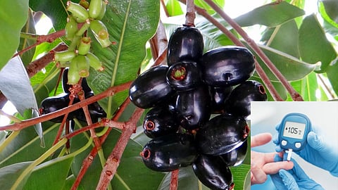 Jamun Leaves For Diabetes