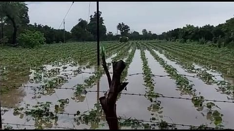 amravati, rain