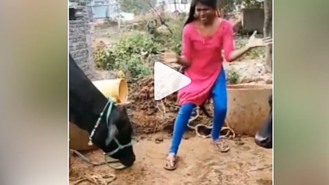 Viral Video