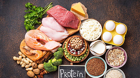 Protein Food