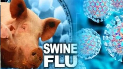 Swine Flu