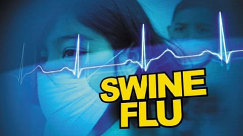 kdmc swine flu news