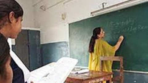 School Teacher