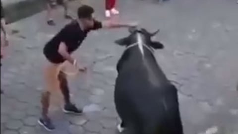 Bull Attack Man Viral Video
