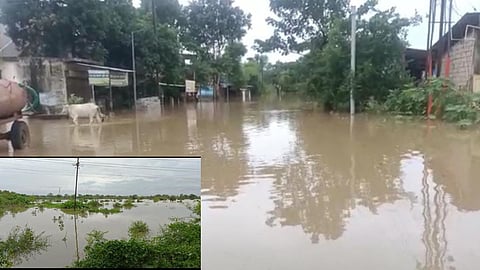 Wainganga River Flood News