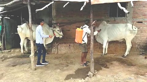 wardha news