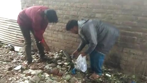 Beed News