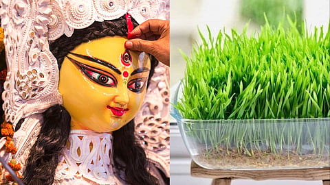 Shardiy Navratra 2022