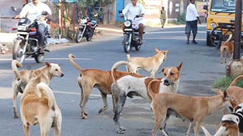 Andhra Pradesh Latest News