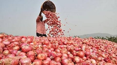 Onion Global Market News: जागतिक बाजारात पाकिस्तानी कांद्याला मागणी वाढली, भारतीय कांदा पडतोय मागे; नेमकं कारण काय?