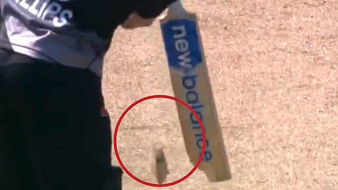 Glenn Phillips Bat Broke Viral Video