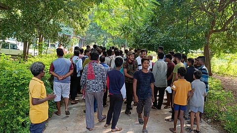 gadchiroli, bhandara, chandrapur, nagpur, tiger, wadsa forest department, citizens, city 1 tiger