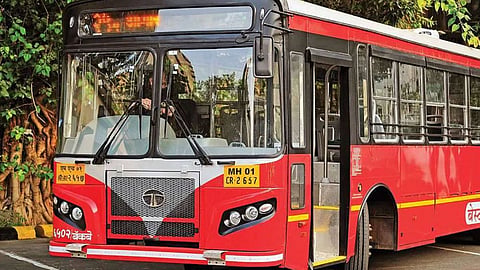 Best Bus