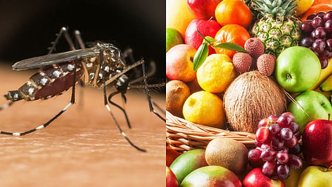 Dengue Disease