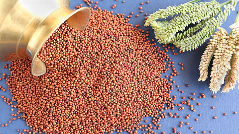 Ragi Benefits